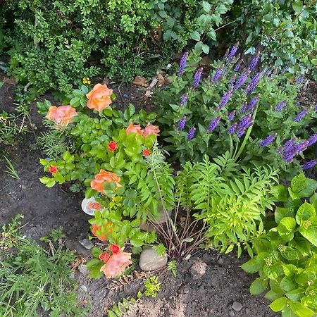 Urlaubsdomizil Norden/Norddeich, Mit Garten ภายนอก รูปภาพ