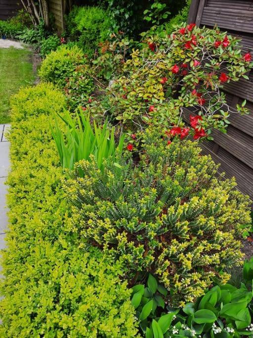 Urlaubsdomizil Norden/Norddeich, Mit Garten ภายนอก รูปภาพ