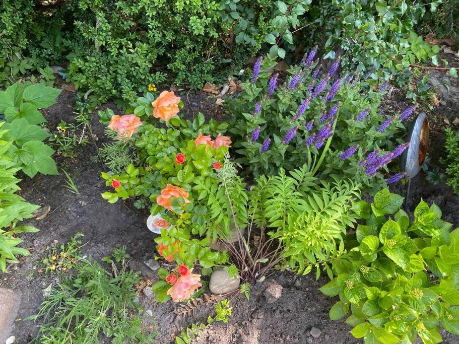 Urlaubsdomizil Norden/Norddeich, Mit Garten ภายนอก รูปภาพ